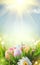 Easter holiday scene background. Traditional painted colorful eggs in spring grass over blue sky