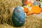 Easter holidays concept. blue decorative easter egg with yellow rabbit. Easter. holiday composition. large easter egg on