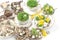 Easter home decoration quail eggs forsythia flowers