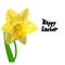Easter illustration Yellow vector Narcissus