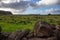 Easter island landscape. Ahu Tongariki. Panoramic view Papa nui