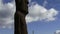 Easter Island Moai Statue panning upwards