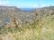 Easter Island - Rano Kau volcano