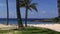 Easter Island statue on rocky coast palm trees