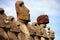 Easter Island Statues- Tongariki