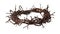 easter isolated Transparent png crown of Thorns worn by Jesus Christ is a powerful symbol of his suffering and sacrifice. thorny