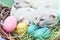 Easter Kittens closeup