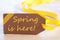 Easter Label, Text Spring Is Here