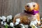 Easter lamb cake with purple ribbon and white florets with leaves