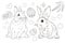 Easter. Linear rabbit image. Whole white image, isolated. Coloring for children