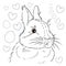 Easter. Linear rabbit image. Whole white image, isolated. Coloring for children