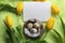 Easter Mockup background with quail eggs in nest and tulips