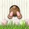 Easter motive, bunny bottom andeaster eggs in fresh grass on white wooden background, illustration