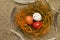 Easter. Nest of chocolate quail eggs, close-up