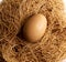 Easter organic egg and nest closeup