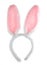 Easter pink bunny ears isolated on white .