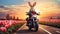 Easter rabbit biker on a motorcycle driving along the tulips road into the sunset