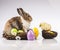 Easter, Rabbit, chick, shell
