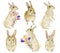 Easter rabbit clipart set. Hand drawn watercolor animal forest with flowers. Watercolor painting cute funny bunny. Baby