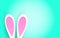 Easter rabbit ears on vivid turquoise background.