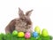 Easter Rabbit with eggs