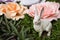 Easter rabbit and fake decorated flowers in garden