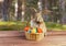 Easter rabbit sits with basket outdoor