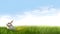 Easter rabbit surrounded with grass on sky background