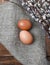 Easter rustic greeting card. Brown eggs with willow branches on sackcloth over wooden background.