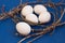 Easter rustic or scandinavian composition on classic blue background. A nest made of willow branches with white egg. Farming and