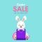 Easter sale banner, poster. Cute easter sale design with bunny, shopping bag, eggs, discount and typography in cartoon style