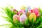 Easter scene. Colorful eggs in spring grass
