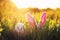 Easter scene with pink rabbit ears and egg sticking out of green juicy grass in spring meadow