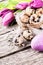 Easter setting with quail\'s eggs