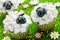 Easter sheep cupcakes , funny cakes shaped cute sheeps with marshmallow