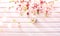 Easter Spring Blossom on white wooden plank background. Easter Apricot flowers on wood border art design. Pink blooming tree