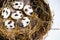 Easter spring composition, nest with quail eggs. Close up portrait on white wooden background.