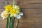 Easter or spring concept with yellow jonquil flowers