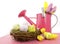 Easter Spring theme pink watering can and nest