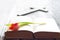 Easter spring tulip and bible with cross abstract background