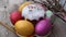 Easter still life with painted eggs. sprigs of willow. Eggs on a special egg plate. Cake in the center, sprinkled on