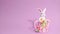 Easter stop motion animation. Beautiful Easter bunny moving in the frame