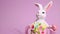 Easter stop motion animation. Beautiful Easter bunny moving in the frame