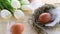 Easter symbol. Natural colour eggs in basket with spring tulips, white feathers on wooden table background in Happy Easter decorat