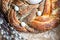 Easter twist bread with poppy seed and nut filling decorated with willow twigs and Easter eggs. Homemade babka or brioche bread