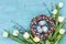 Easter willow wreath, white tulips and blue Easter eggs on blue background