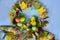 Easter wreath with Easter eggs, baby chicken and easter decorations.