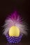 Easter yellow egg with a beautiful pink feather