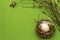 Easter zero waste decor, DIY concept. Design element and decor. Bird nest, egg, moss, birch branches, feather. Green background