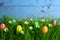 Eastereggs in eastergrass and daisy flowers
